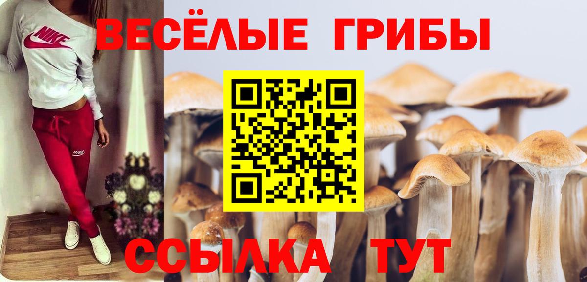 Псилоцибиновые грибы Psilocybine cubensis  Вход с VPN  Калач-на-Дону 